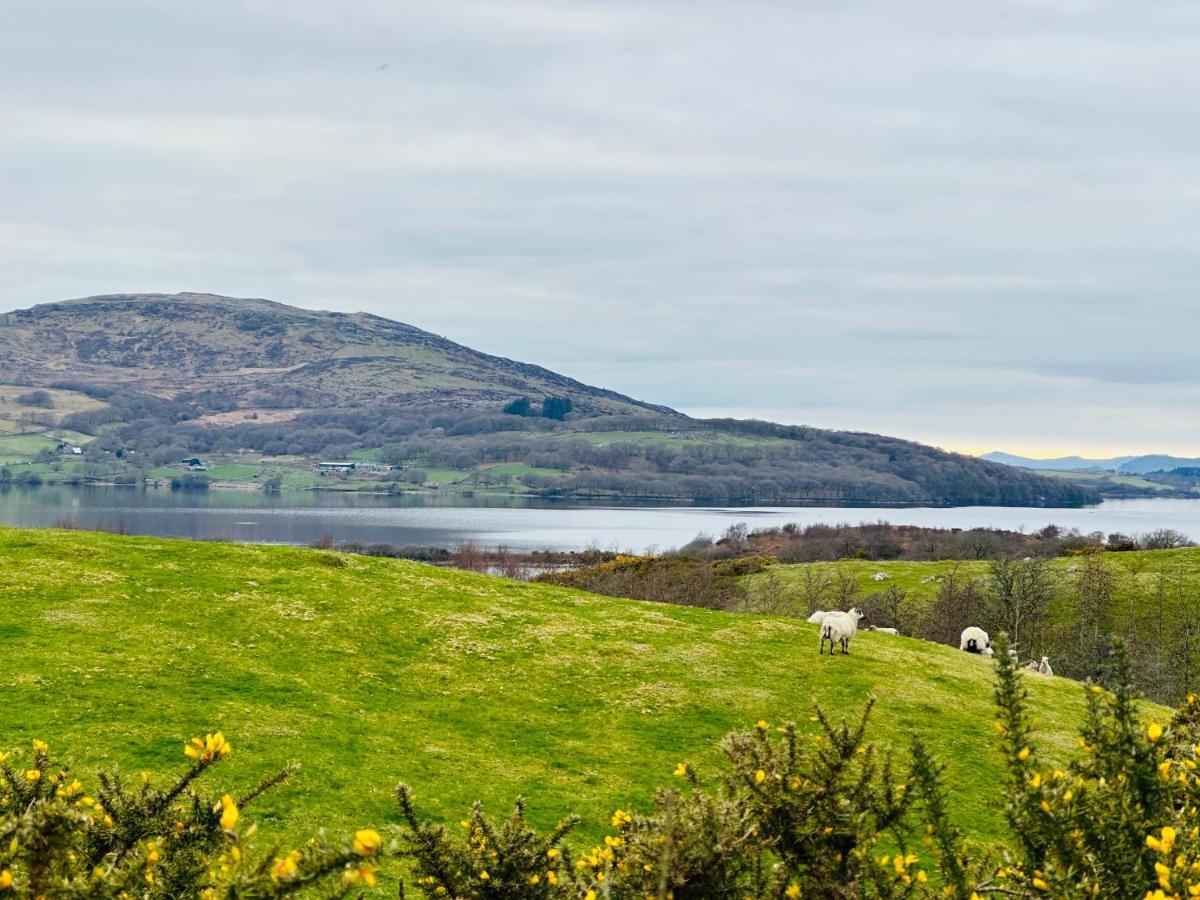 Trawsfynydd Stone Cottage Екстер'єр фото